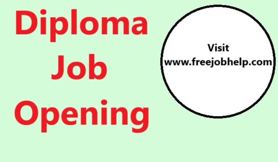 diploma jobs